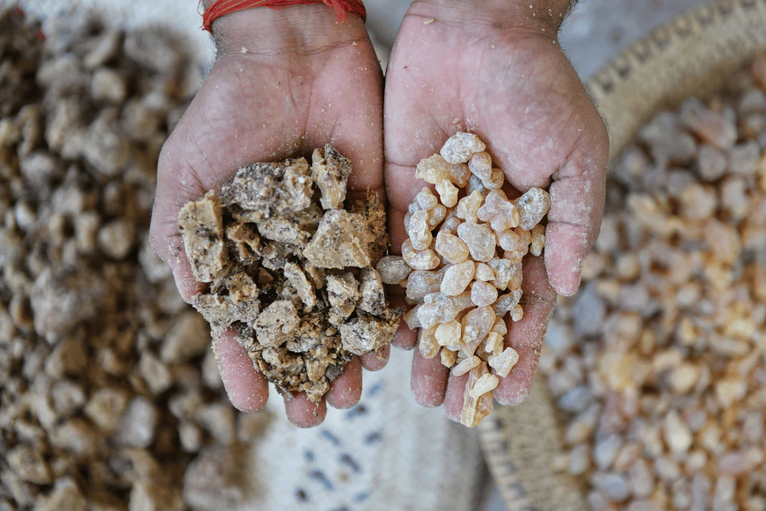 Frankincense Supplier East Africa - Premium Quality Resin Export
